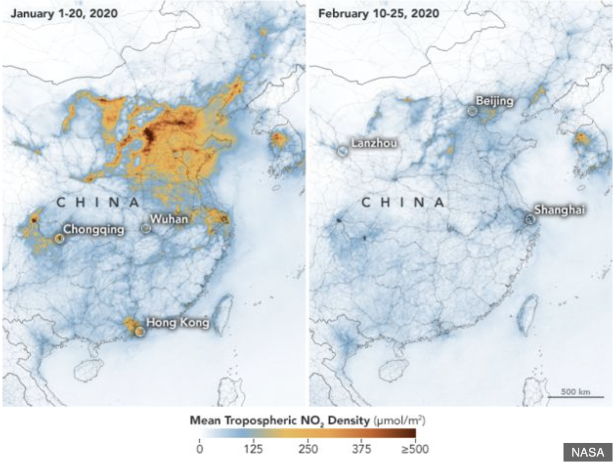 Is the Coronavirus the Earth's way of protecting itself?